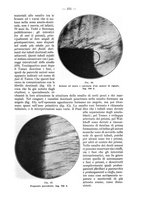 giornale/TO00195913/1929/unico/00000417