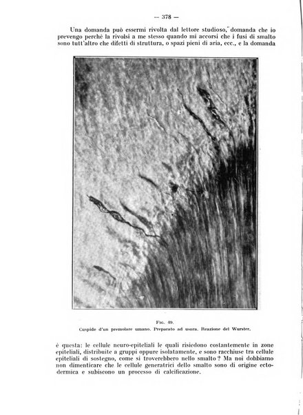 La stomatologia periodico mensile