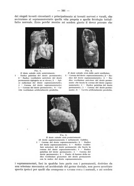 La stomatologia periodico mensile