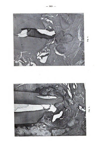 La stomatologia periodico mensile