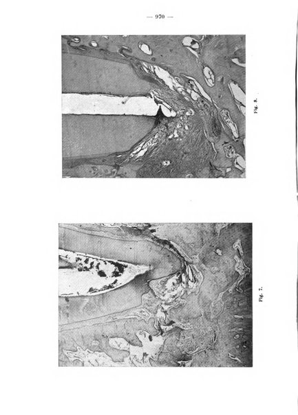 La stomatologia periodico mensile