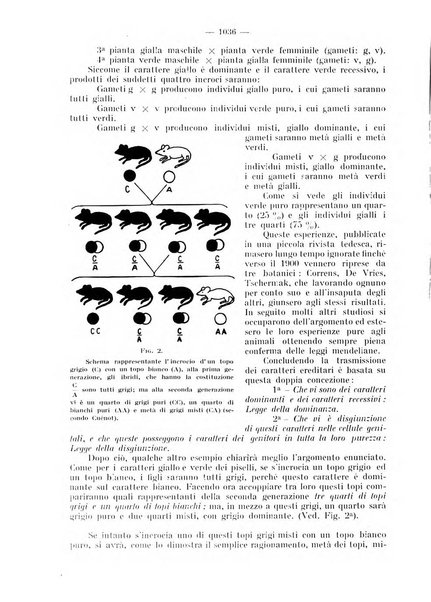 La stomatologia periodico mensile