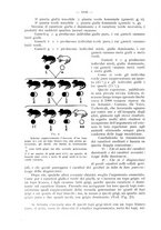 giornale/TO00195913/1929/unico/00001124