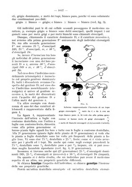 La stomatologia periodico mensile