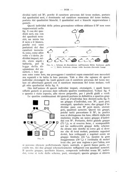 La stomatologia periodico mensile