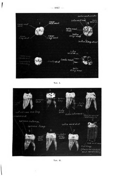 La stomatologia periodico mensile