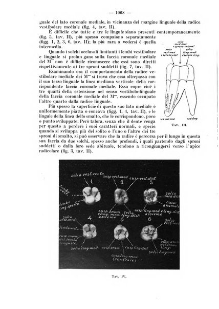 La stomatologia periodico mensile