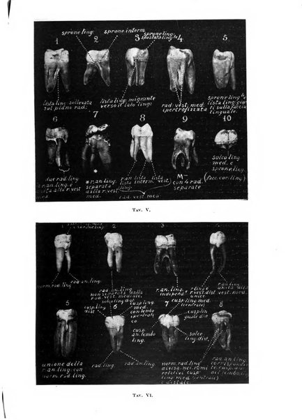 La stomatologia periodico mensile