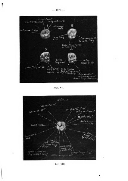 La stomatologia periodico mensile