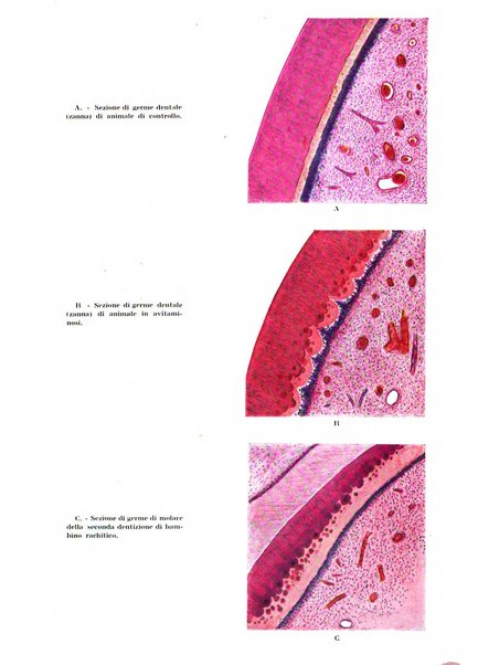 La stomatologia periodico mensile