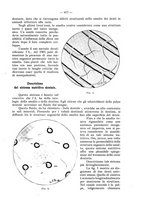 giornale/TO00195913/1930/unico/00001023