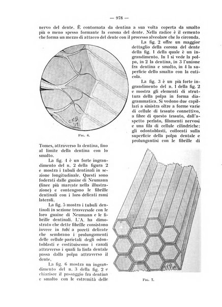 La stomatologia periodico mensile