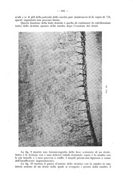 La stomatologia periodico mensile