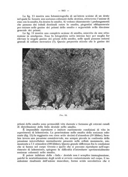 La stomatologia periodico mensile