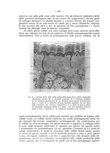 La stomatologia periodico mensile