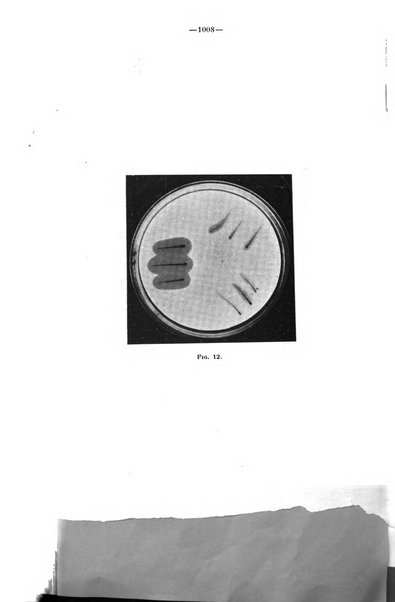 La stomatologia periodico mensile