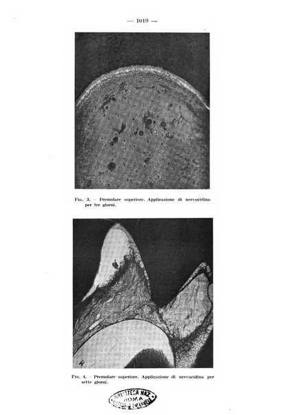 La stomatologia periodico mensile