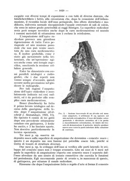 La stomatologia periodico mensile