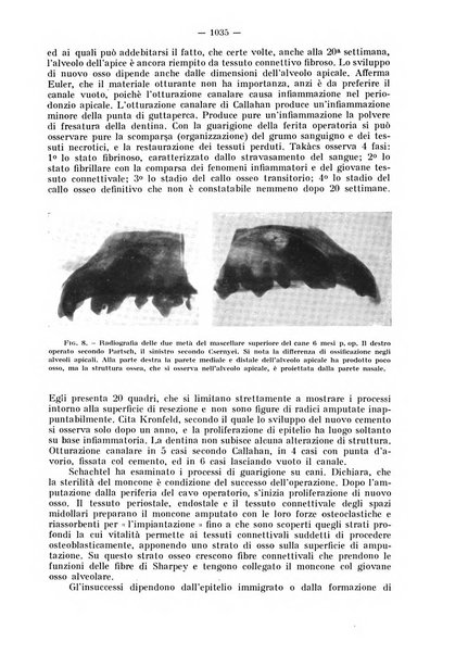 La stomatologia periodico mensile