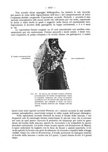 La stomatologia periodico mensile