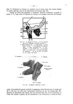 giornale/TO00195913/1931/unico/00000193