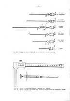 giornale/TO00195913/1931/unico/00000196