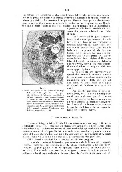 La stomatologia periodico mensile