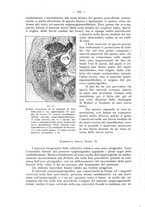 giornale/TO00195913/1931/unico/00000208