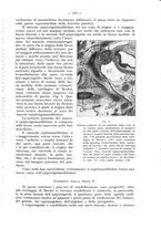 giornale/TO00195913/1931/unico/00000209