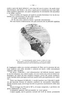 giornale/TO00195913/1931/unico/00000599