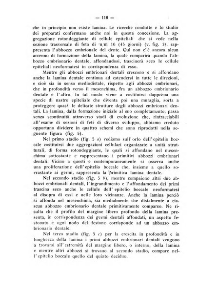 La stomatologia periodico mensile