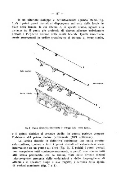 La stomatologia periodico mensile