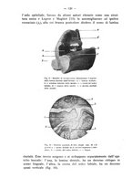 giornale/TO00195913/1932/unico/00000138