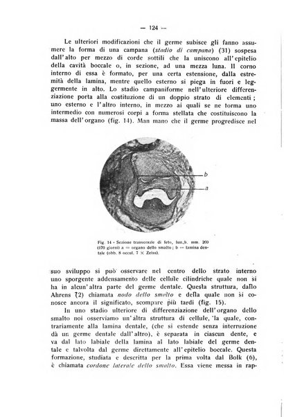 La stomatologia periodico mensile