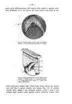 giornale/TO00195913/1932/unico/00000143