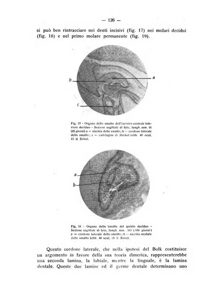 La stomatologia periodico mensile