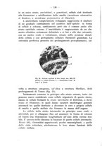 giornale/TO00195913/1932/unico/00000146