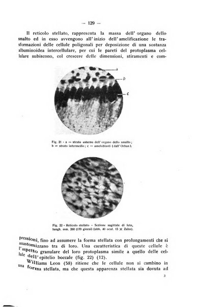 La stomatologia periodico mensile