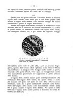giornale/TO00195913/1932/unico/00000149