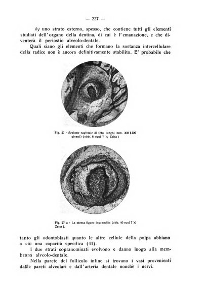 La stomatologia periodico mensile