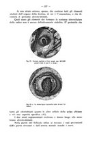 giornale/TO00195913/1932/unico/00000253