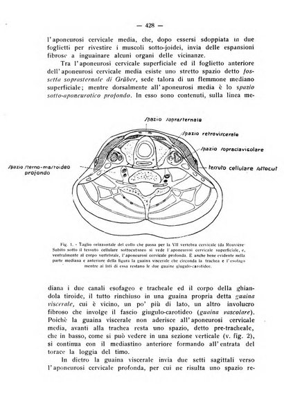 La stomatologia periodico mensile