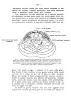 giornale/TO00195913/1932/unico/00000482