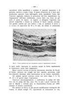 giornale/TO00195913/1932/unico/00000619