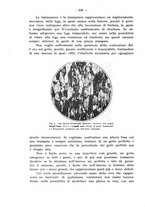 giornale/TO00195913/1932/unico/00000710