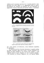 giornale/TO00195913/1933/unico/00000044