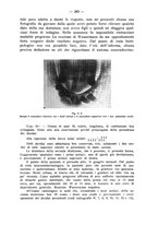 giornale/TO00195913/1933/unico/00000321