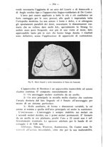 giornale/TO00195913/1933/unico/00000424