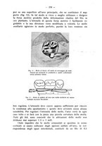 giornale/TO00195913/1933/unico/00000429