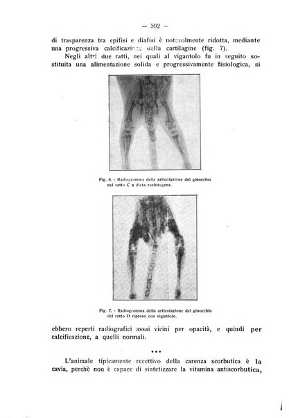 La stomatologia periodico mensile